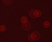 Measuring Molecules To Improve Drug Design