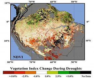 Risk of Amazon rainforest dieback is higher than IPCC projects