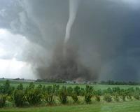 Search for victims after US tornadoes kill 17