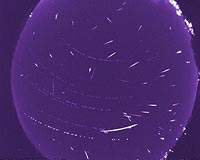 The 2009 Orionid Meteor Shower