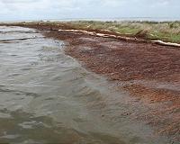 The deepwater horizon aftermath
