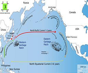 Floating tsunami trash to be a decades-long headache