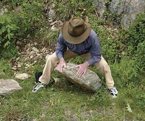 2011 Virginia quake triggered landslides at extraordinary distances