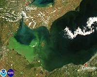Drought led to massive 'dead zone' in Lake Erie