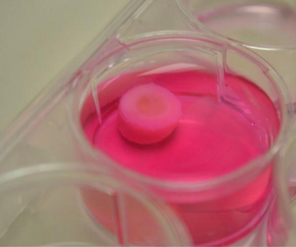 Revolutionizing Space Medicine: ESA Develops 3D-Bioprinted Blood Vessel Models