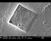 3-D graphene has promise for bio applications