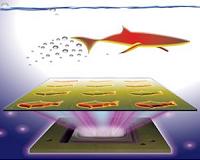 3D-printed microscopic fish do more than swim