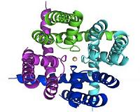 X-raying ion channels