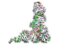 Discovery of a fundamental limit to the evolution of the genetic code