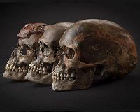 The genetic history of Ice Age Europe
