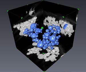 New modeling approach transforms imaging technologies