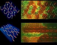 Repeated Self-Healing Now Possible in Composite Materials