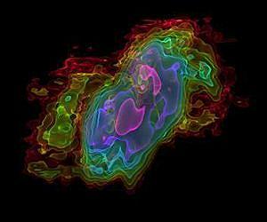 The limits to galactic growth