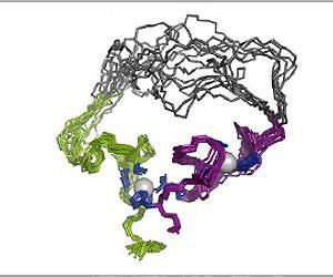 'Activating' RNA takes DNA on a loop through time and space