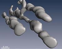 Scientists sustainably 3D print large objects out of cellulose