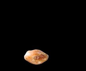 Ancient tooth may provide evidence of early human dentistry
