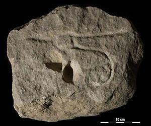 Anthropologists discover earliest form of wall art