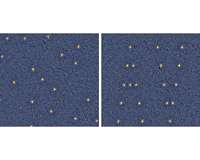 Physicists spell 'AV' by manipulating Abrikosov vortices