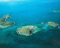 Brazil Creates Buffer Zone Around Coral Reefs Off Atlantic Coast