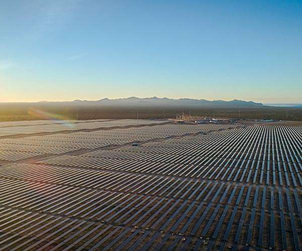 Solar park boom threatens Spain's centuries-old olive trees
