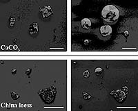 The Secret Life Of Acid Dust