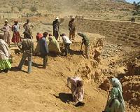 Ethiopia drought creates food crisis for 7.7 million
