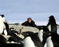 Prof Using Penguin Remains To Measure Antarctic Ice Movement