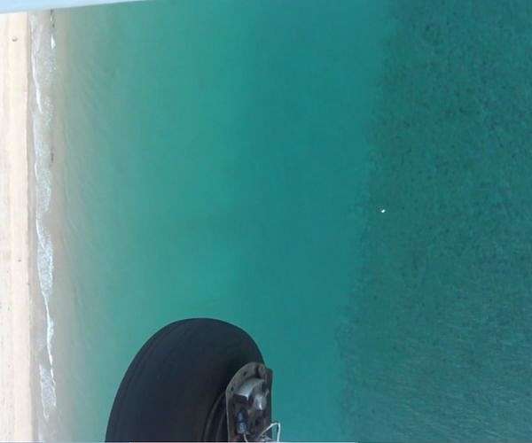 Aerial surveys reveal ample populations of rays off Southeast Florida