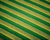 GMOs with health benefits have a large market potential