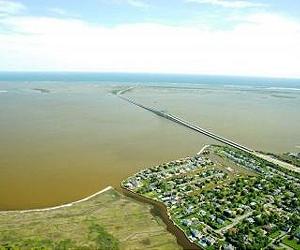 Brown Tide Culprit Sequenced: Genome Of The First Of Algal Bloom Species
