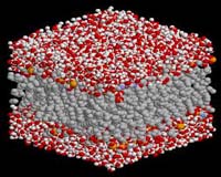 Aerogels: 'Solid Smoke' May Have Many Uses