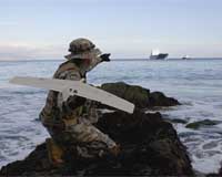 AeroVironment To Develop Stealthy, Persistent, Perch And Stare UAS