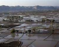 Bad Weather Hampers Aid To Flood-Hit Western Afghanistan