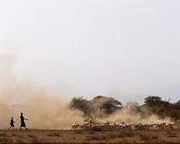 Ancient DNA tells the story of the first herders and farmers in east Africa
