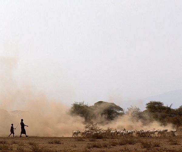 Tanzania starts rationing water due to drought