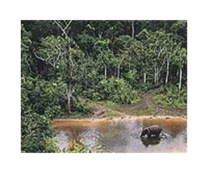 Illegal hotels threaten African reserve