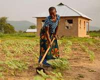 Quarter of land will be drier under 2 C warming: study