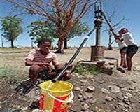 Warming may outstrip Africa's ability to feed itself: study
