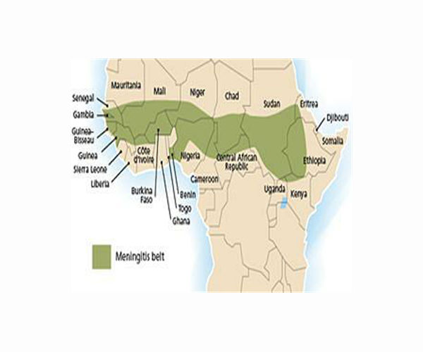 Meningitis epidemic in DR Congo kills 129