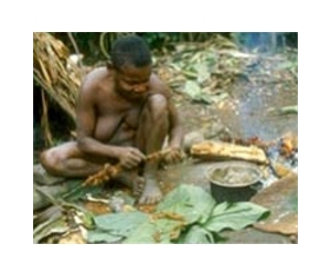 Governments 'too busy' to discuss pygmy rights: Congo official