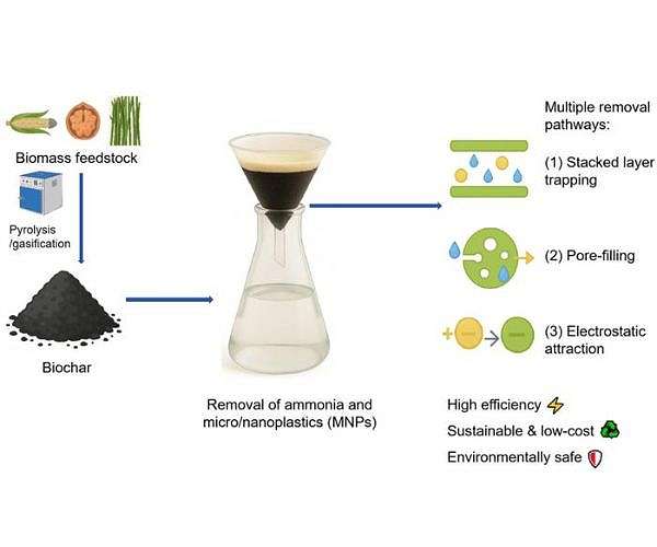 Corn cob biochar filters pull ammonia and micro and nanoplastics from water