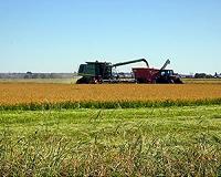 Adapting to climate change will bring new environmental problems