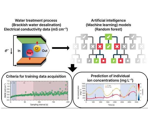 Artificial intelligence advances decentralized water purification
