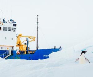 Anxious wait for stranded Antarctic ship