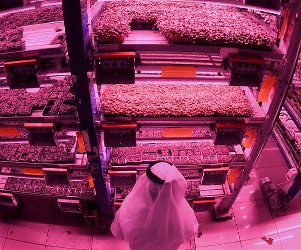 High-tech fixes for the food system could have unintended consequences