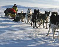 Trimble Takes Outdoor Rugged Computers To The Iditarod