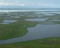 With Few Data, Arctic Carbon Models Lack Consensus