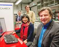 Accelerated analysis of the stability of complex alloys