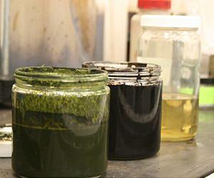 Algae to crude oil: Million-year natural process takes minutes in the lab