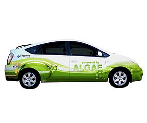 Biofuel breakthrough: Quick cook method turns algae into oil